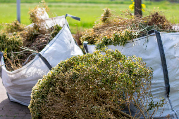 Best Shed Removal  in Quitman, MS